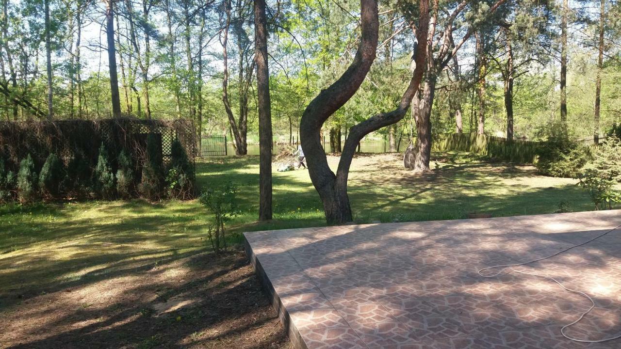 Domek Nad Narwia Dlugosiodlo Екстериор снимка